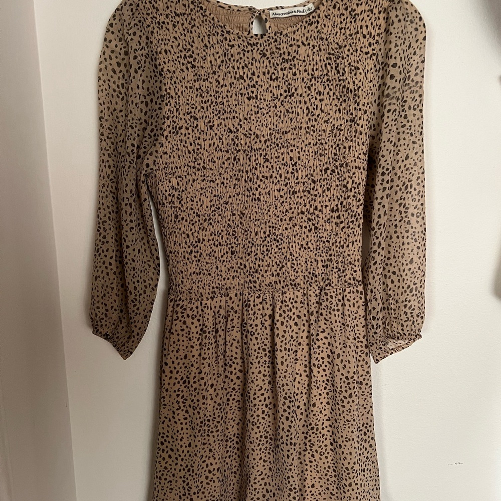 Long Sleeve Abercrombie and Fitch dress